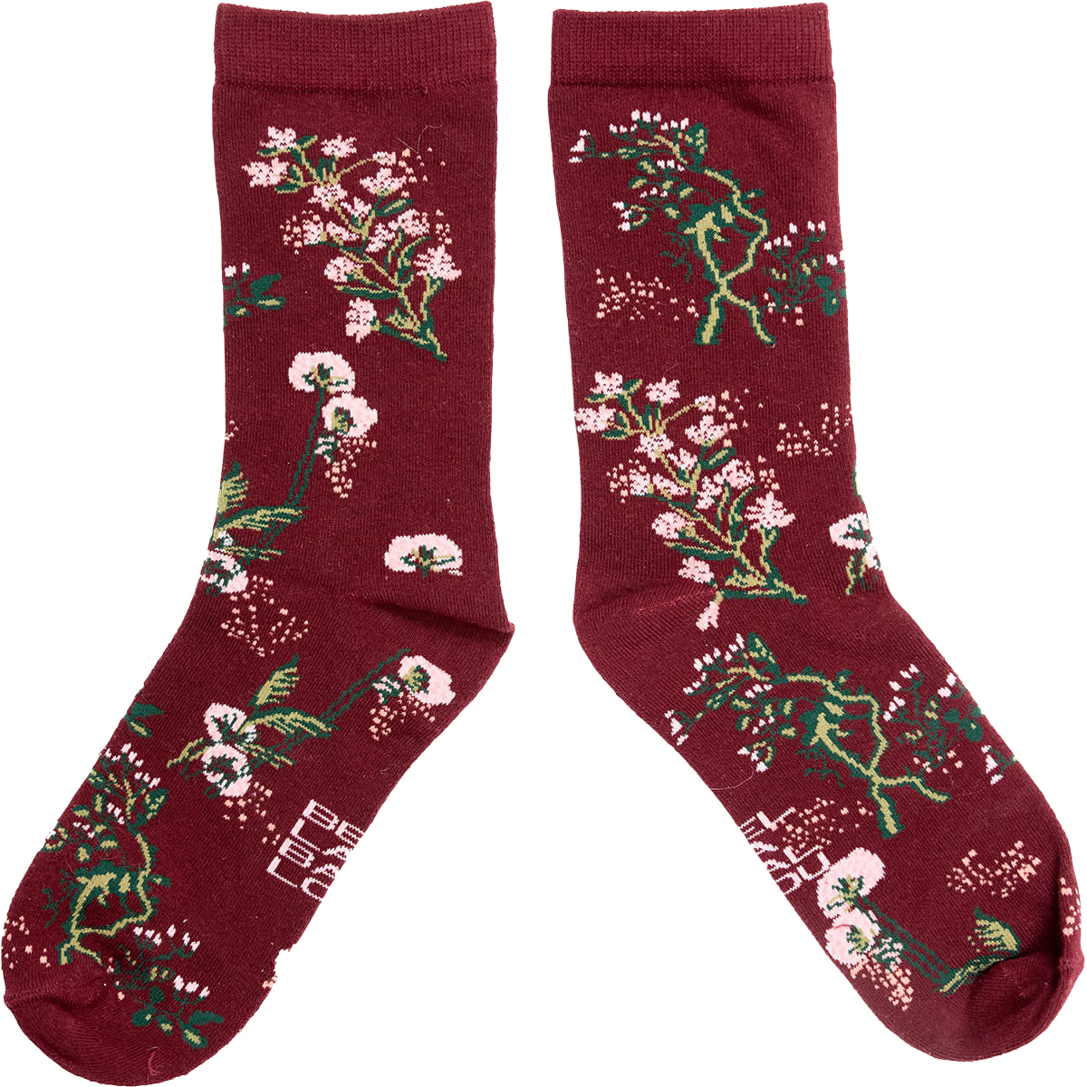 BLOOM Socks